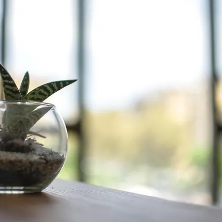 Politeama Crystal Penzion 3*